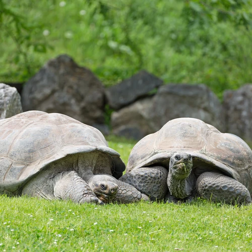 Imagem do pacote Quito e Galápagos Imperdível.